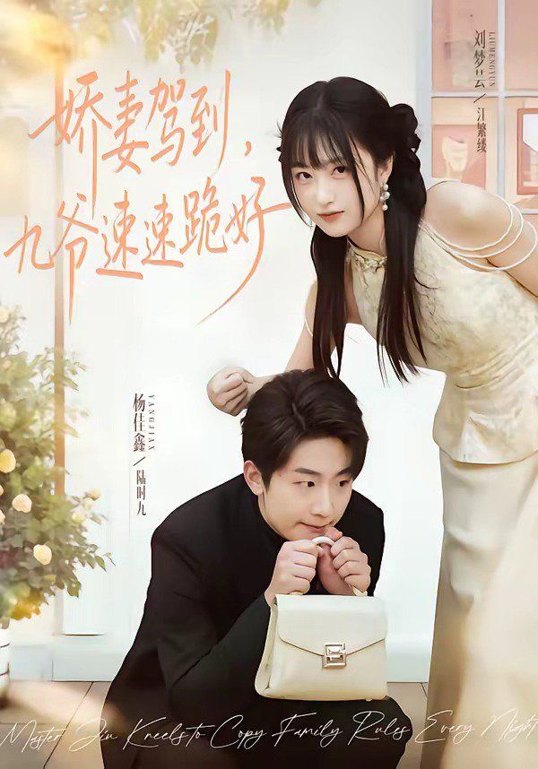纪录片海报