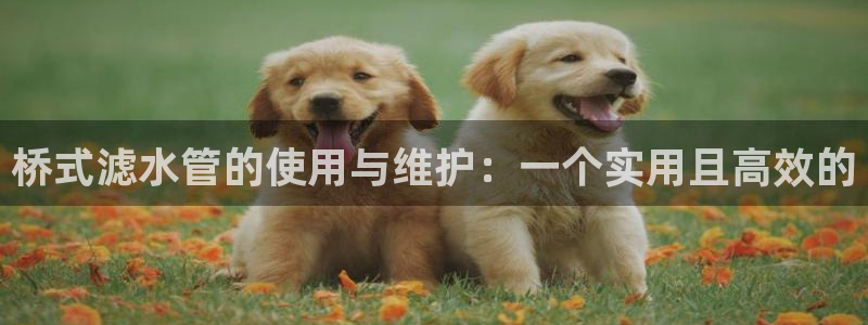 富邦娱乐app官方下载