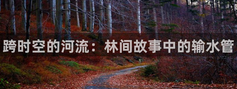 临平富邦娱乐