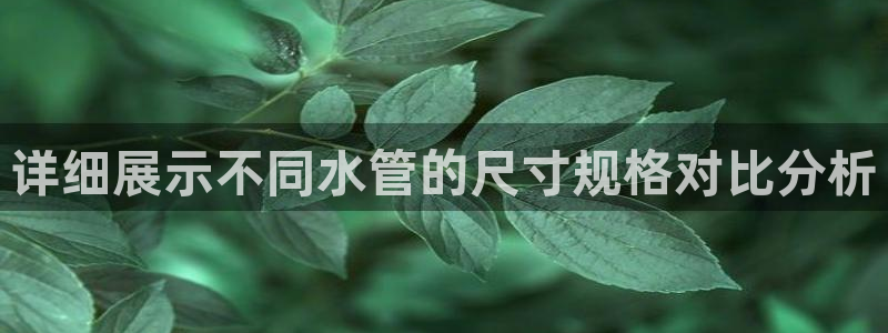 富邦娱乐app的三个版本