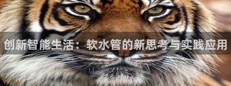 富邦天娱娱乐有限公司