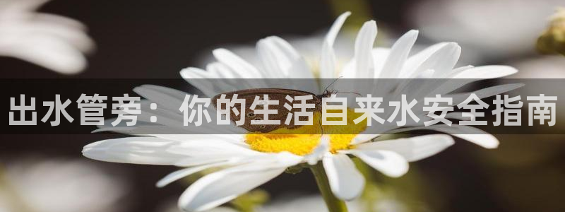 富邦娱乐网站是