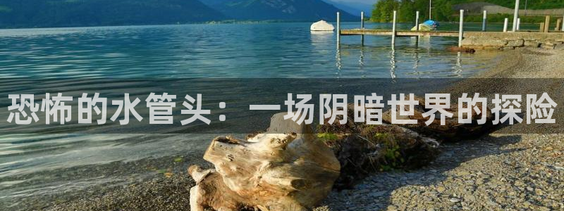 北仑富邦娱乐