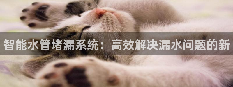屏山富邦娱乐会所地址查询