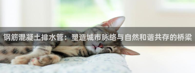 富邦娱乐登入上银狐网