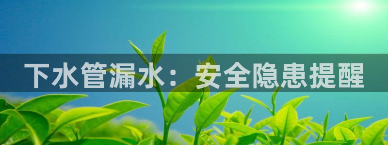 富邦娱乐线路