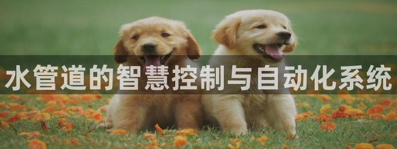 富邦娱乐 全礴网