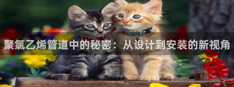杭州临平富邦娱乐厅