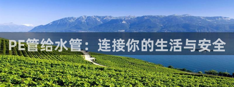 富邦娱乐有限公司怎么样