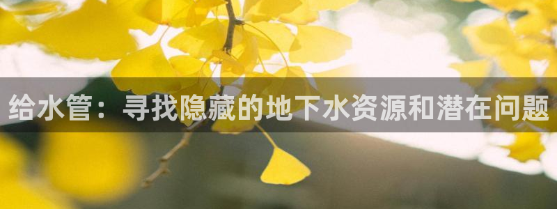 富邦美业势不可挡娱乐