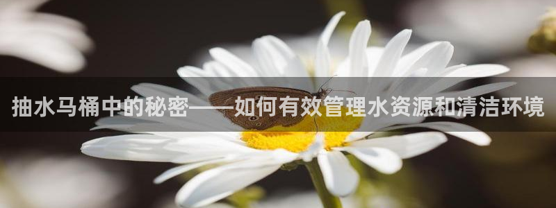 富邦娱乐彩票最新地址