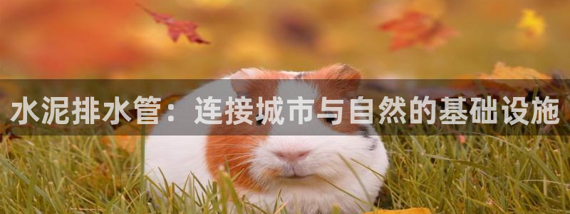 富邦娱乐会所在几楼上班