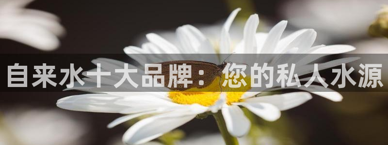 fub富邦娱乐线路检测