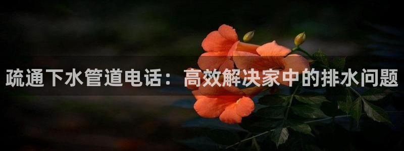 富邦天日娱乐有限公司