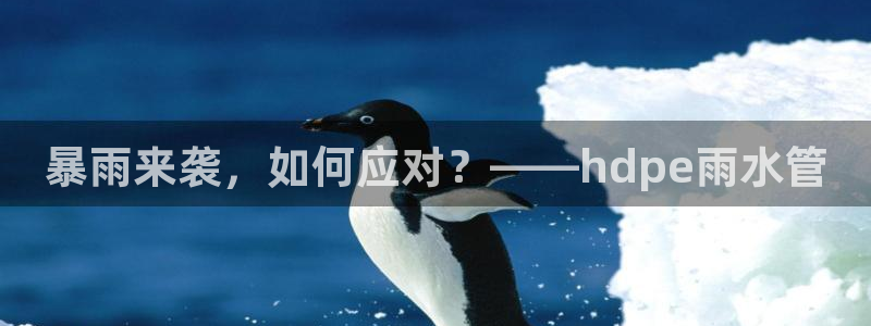 富邦线上娱乐城