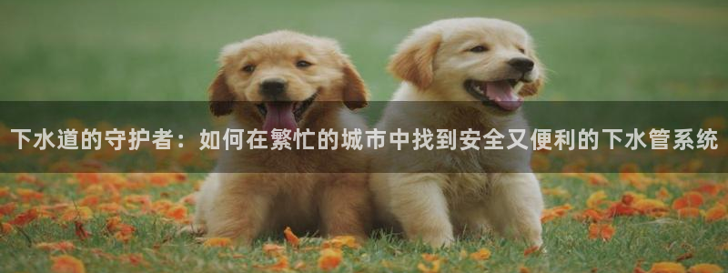 富邦娱乐线路检测