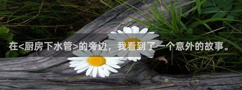 富邦club娱乐网址