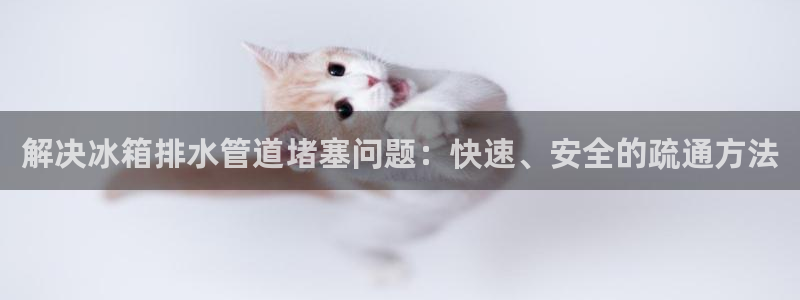 富邦娱乐官网登录