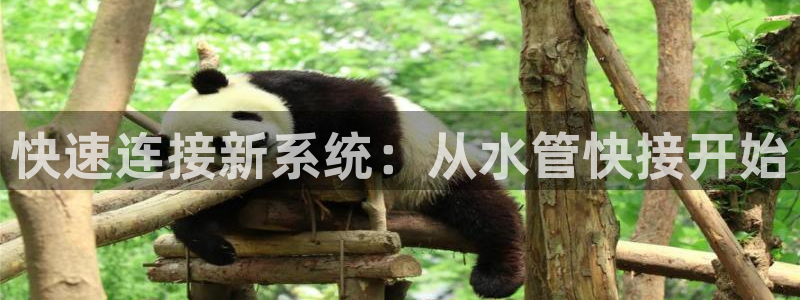 富邦商务娱乐会所电话