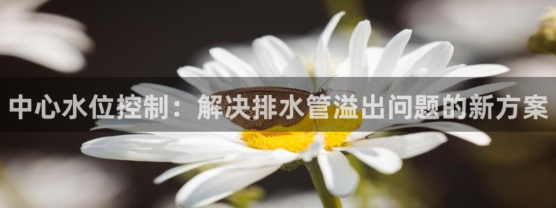 富邦娱乐会所杭州