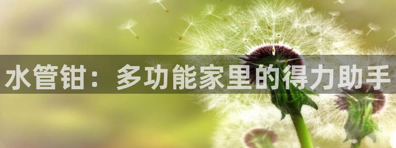 杭州临平富邦娱乐会所