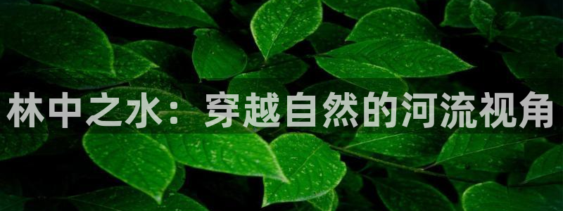 富邦娱乐网址是多少