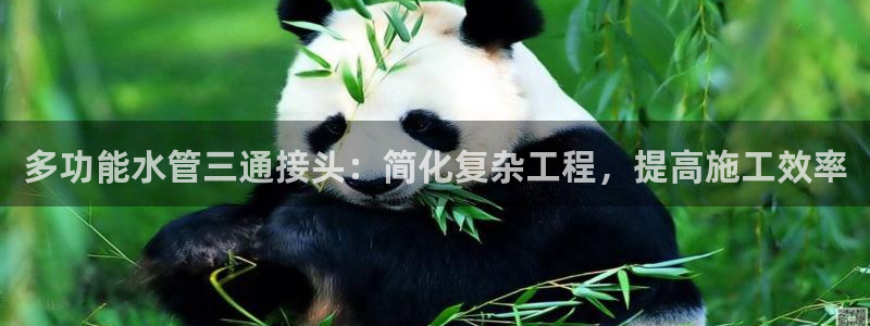富邦娱乐开户-上全狐网