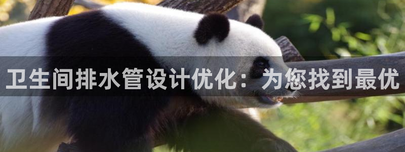 富邦娱乐官网 全礴网