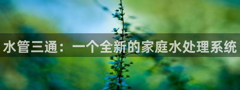 富邦天娱娱乐有限公司