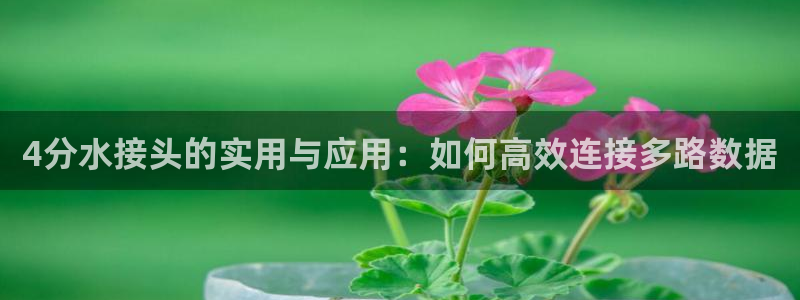富邦网上娱乐