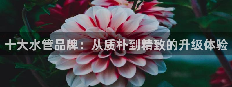 富邦娱乐app那里下载