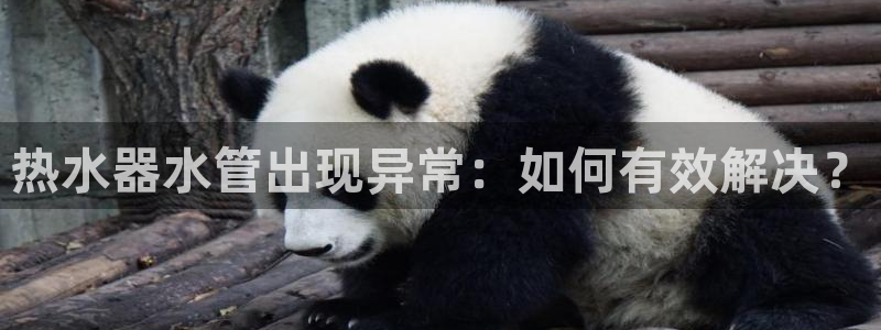 富邦娱乐官网上全狐网