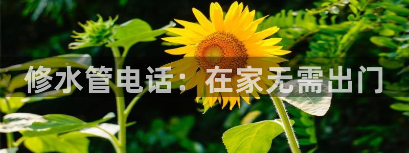 上海邦富娱乐有限公司