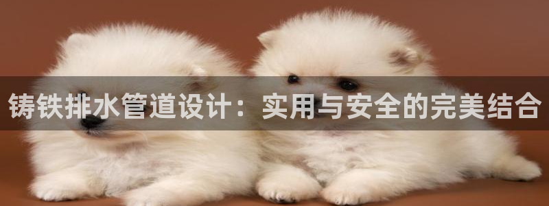 北仑富邦娱乐会所招聘