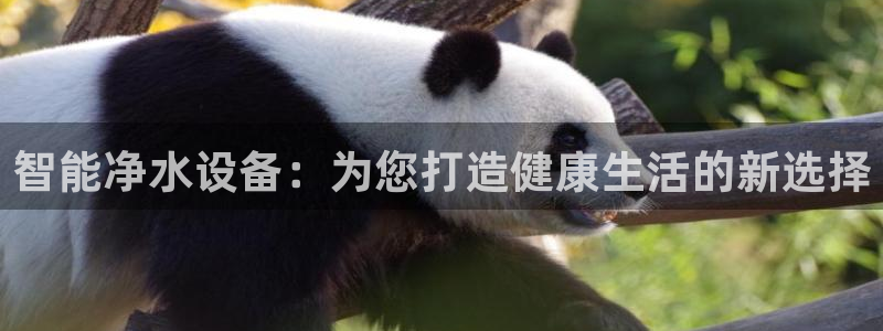 富邦娱乐网页版登录入口