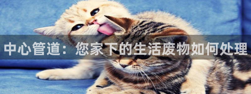 富邦娱乐登入 全礴网