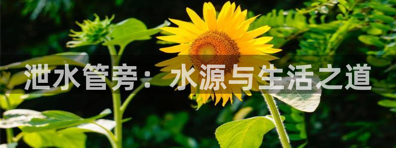 临平富邦星座娱乐场所