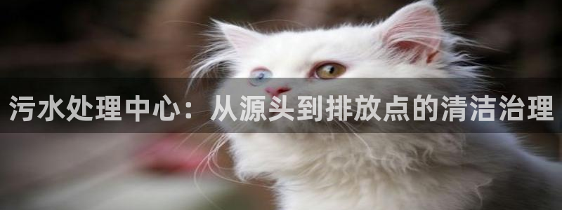 富邦娱乐 果敢锦海
