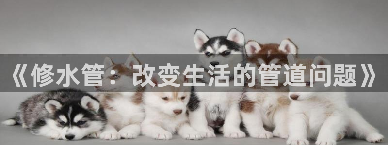 富邦娱乐线路检测