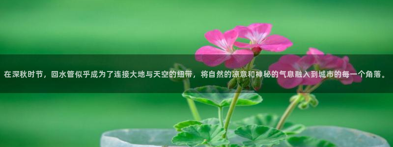 富邦娱乐 上鼎狐网