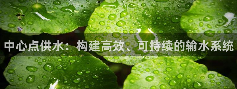 临平富邦娱乐总监山鸡
