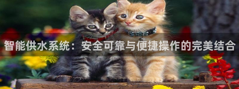 富邦娱乐开户 全礴网