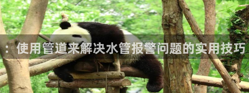 富邦娱乐官网 全礴网