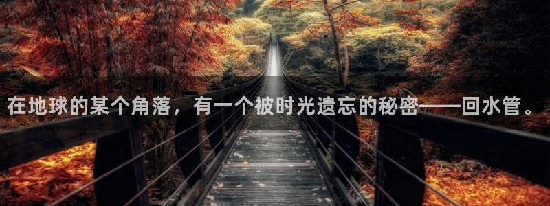 富邦娱乐2024最新消息