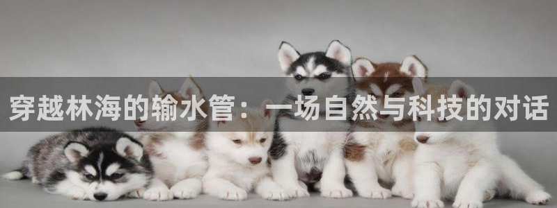 杭州富邦娱乐集团