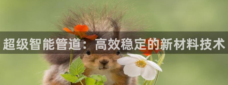 富邦娱乐游艺