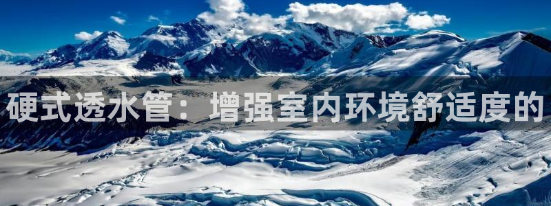 富邦娱乐 上鼎狐网