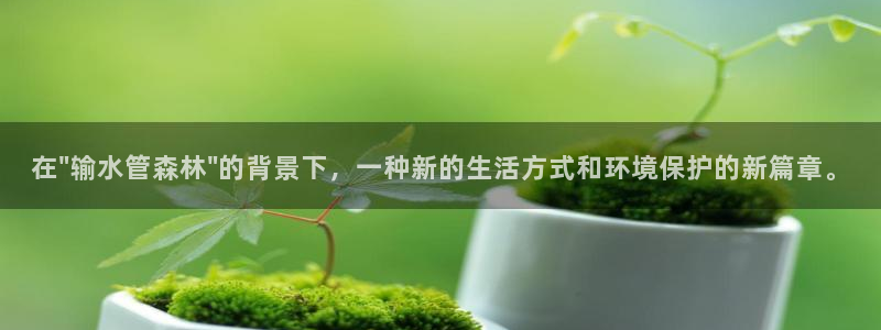 临平富邦娱乐总监山鸡