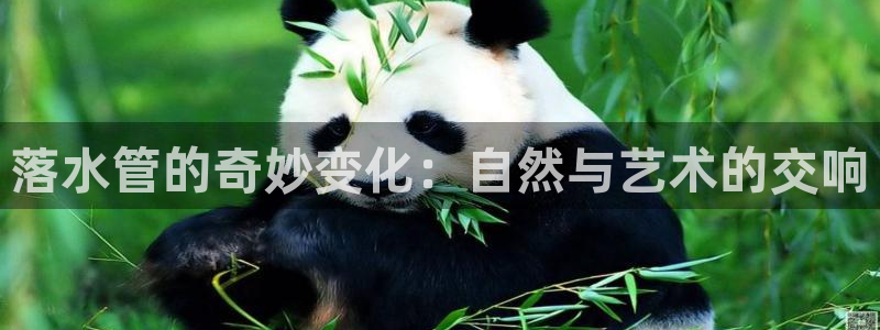 杭州临平富邦娱乐厅