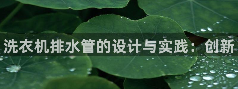 壹家娱乐北仑区富邦